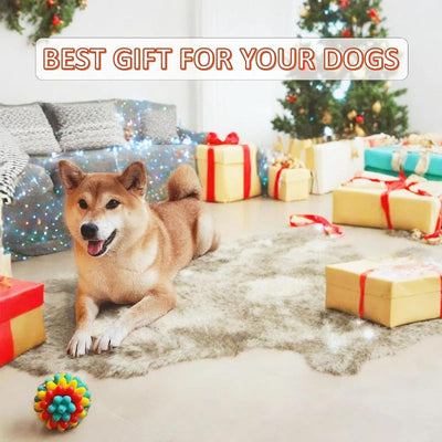 Heavy-Duty Spiky Chew Ball – Dental-Friendly Toy for Medium & Large Dogs